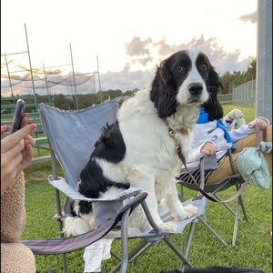 Meet your Posher, Gabe